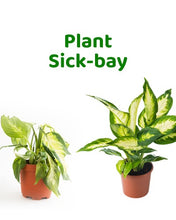 Load image into Gallery viewer, Plant Sick-Bay

